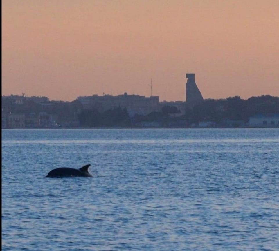 Al Mar 38 - The Fab Stay Brindisi Luaran gambar